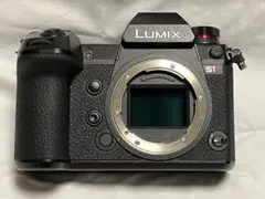 2026年最新】lumix s1rの人気アイテム - メルカリ
