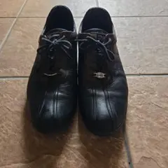 Item thumbnail for item 443606cb-8229-4675-b953-4b4fc8615197