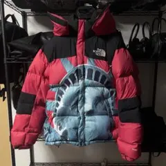 【正規品】Supreme×North face ダウン 自由の女神 Lサイズ