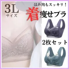 美胸 2枚セットF 3L 胸を小さく見せる 着痩せ シームレス 　2801