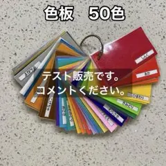 色板 50色　知育玩具　モンテッソーリ教具　手作り玩具　ハンドメイド　保育　療育のサムネイル