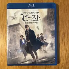 ファンタスティック・ビーストと魔法使いの旅