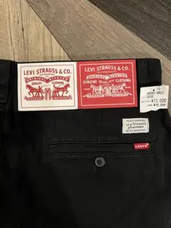 LEVI'S XX Stay Loose Chino Pants デニム チノ