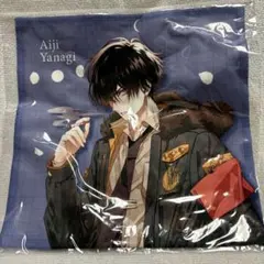 【10123】カラーマリス マイクロファイバー 柳愛時