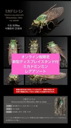 いきもの大図鑑アドバンス セミ01 ミカドミンミン 激レア オンライン版限定