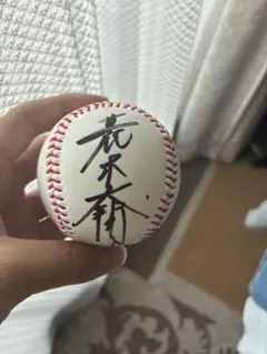 サインボール 野球ボール