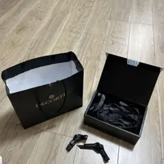 decorte ショッパー　箱　リボン