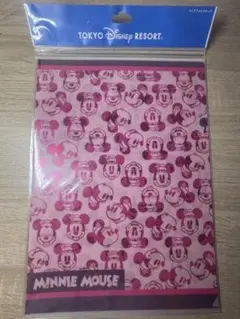 ディズニークリアファイルセット