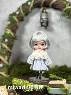【min doll】カスタムプチブライス/エルフ3《miwarin様専用》
