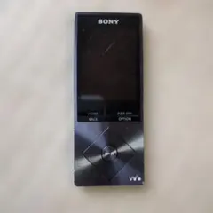 バッテリー良好☆SONY WALKMAN NW-A16 32G シルバー動作OK - メルカリ