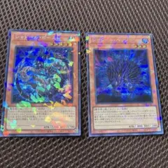 遊戯王　シャドール・ヘッジホッグ　AE06 3枚セット　シークレット　シク　韓国 シャドールヘッジホッグ【シークレットパラレル】{TW03-JP067