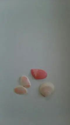 Item thumbnail for item ea1a9967-1f32-4564-afe8-3909ba7dd5ea