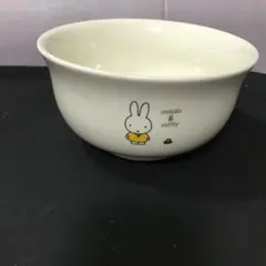 Item thumbnail for item 23cfd897-2e57-4c7d-8af6-594078843849