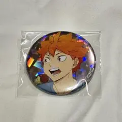 ハイキュー/日向