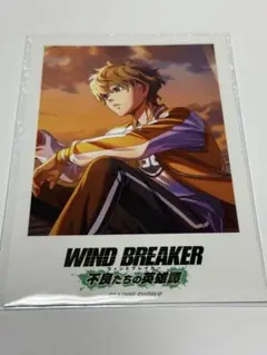兎耳山 ポラロイドカード WIND BREAKER ウィンヒロ AJ