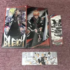 BLEACH 黒崎一護 チケットファイル 特製しおり 小説 単行本 特典