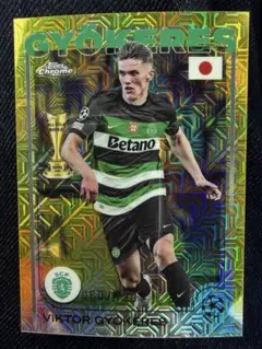 Jリーグtopps HIDDEN GEMS フリスト・ストイチコフ 柏レイソル - メルカリ Jリーグtopps HIDDEN GEMS ストイチコフ柏レイソル5枚限定