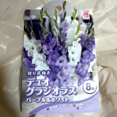 レイティ様 リクエスト 2点 まとめ商品