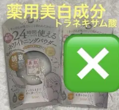 サナ　エクセル　⭐️ 素肌記念日　薬用美白　スキンケアパウダーのサムネイル