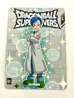 ☆即日発送可能☆ EX2-004 ブルマ