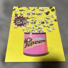 嵐　popcornライブ　パンフレット