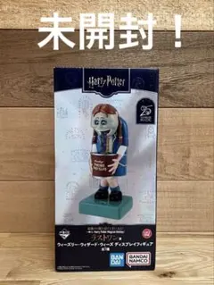 ハリー・ポッター　一番くじ　ラストワン賞　Harry Potter