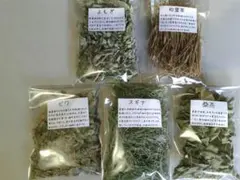 はなぷーさま専用画面