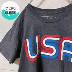Epivive Made in The USA Tシャツ S グレー