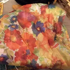 Item thumbnail for item b4491c5e-fbdb-4f21-83c0-b2108eb09506