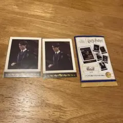 ハリーポッター　ぱしゃこれvol.2 トム・リドル 2枚セット