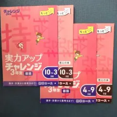 2026年最新】チャレンジ 3年の人気アイテム - メルカリ