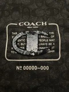 コラボ！COACH X CHAMPION スパンコール ロゴ 半袖Tシャツ - メルカリ