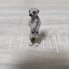 シュライヒ Schleich 動物フィギュア　ミーアキャット