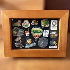 【本日限定出品】　ピンバッチ　15個　ピンバッチ専用額入り