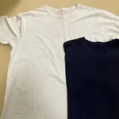 Item thumbnail for item a1b84b30-d32b-43e6-ac6e-d78226286f39