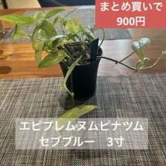 yuu☆即購入OKフォロー割あり❣️様 リクエスト 2点 まとめ商品