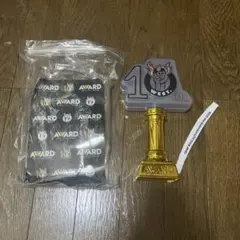 10th AWARD トロフィー　west.