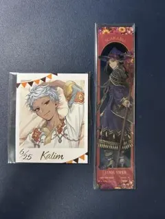 ツイステ　フォト風カード　しおり　まとめ売り　カリム　ジャミル