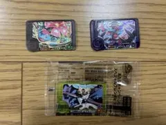 ポケモンフレンダ　メガフシギバナ　イベルタル　テツノブジン