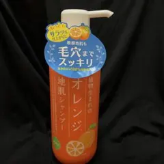 石澤研究所 オレンジ地肌シャンプー　400mlのサムネイル