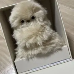 mirumi