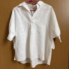 Item thumbnail for item 9c2d02a5-5040-4b74-a647-9da9427430e5