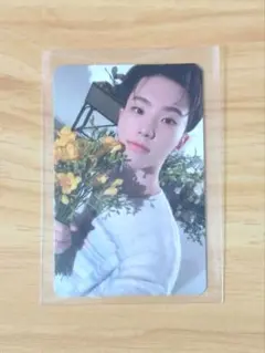 SEVENTEEN セブチ ホシ your choice トレカ