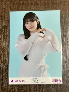 Item thumbnail for item fdc0420d-273e-4a3b-a703-9d238ab8a4fb