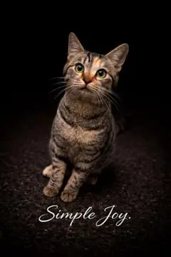 Item thumbnail for item d0b46421-7ad6-4e8d-a95f-9121dfeccb59