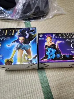 Item thumbnail for item d31a984a-57e8-4bf8-8e8e-877558332f66