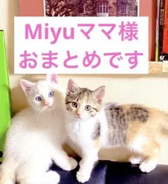 Miyuママ (発送は平日のみです)様 リクエスト 2点 まとめ商品
