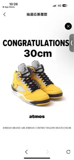 Nike Air Jordan 5 Retro 