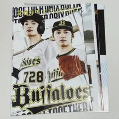 なにわ男子 藤原丈一郎 切り抜き オリックスパーフェクトガイド 2022