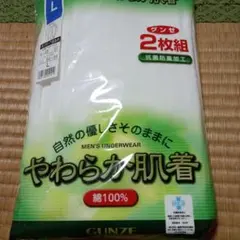 GUNZE メンズ 長ズボン下 前あき Lサイズ 2枚組
